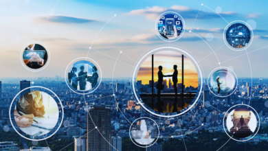 scope of international business