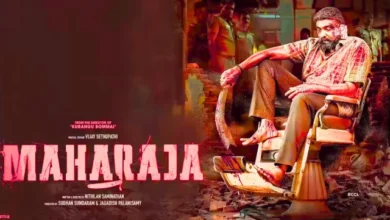 Maharaja movie